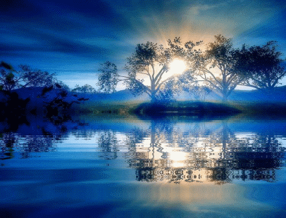 belle image