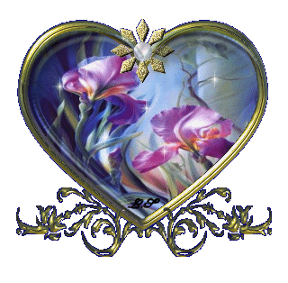 belle image